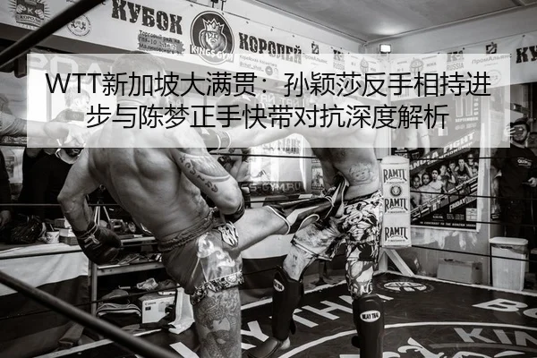 xin-jia-po-da-man-guan-sun-ying-sha-fan-shou-xiang-chi-jin-bu-yu-chen-meng-zheng-shou-kuai-dai-dui-kang-shen-du-jie-xi-2-920.jpg